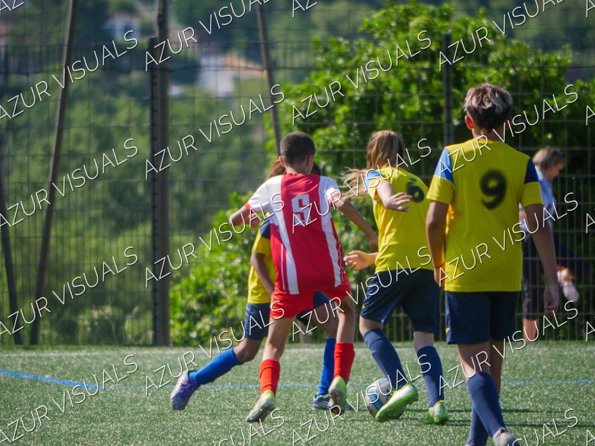 Photo 22