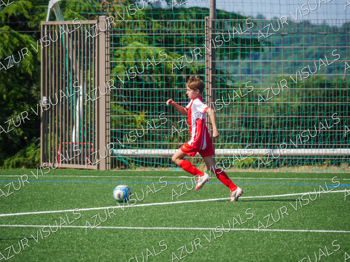 Photo 40