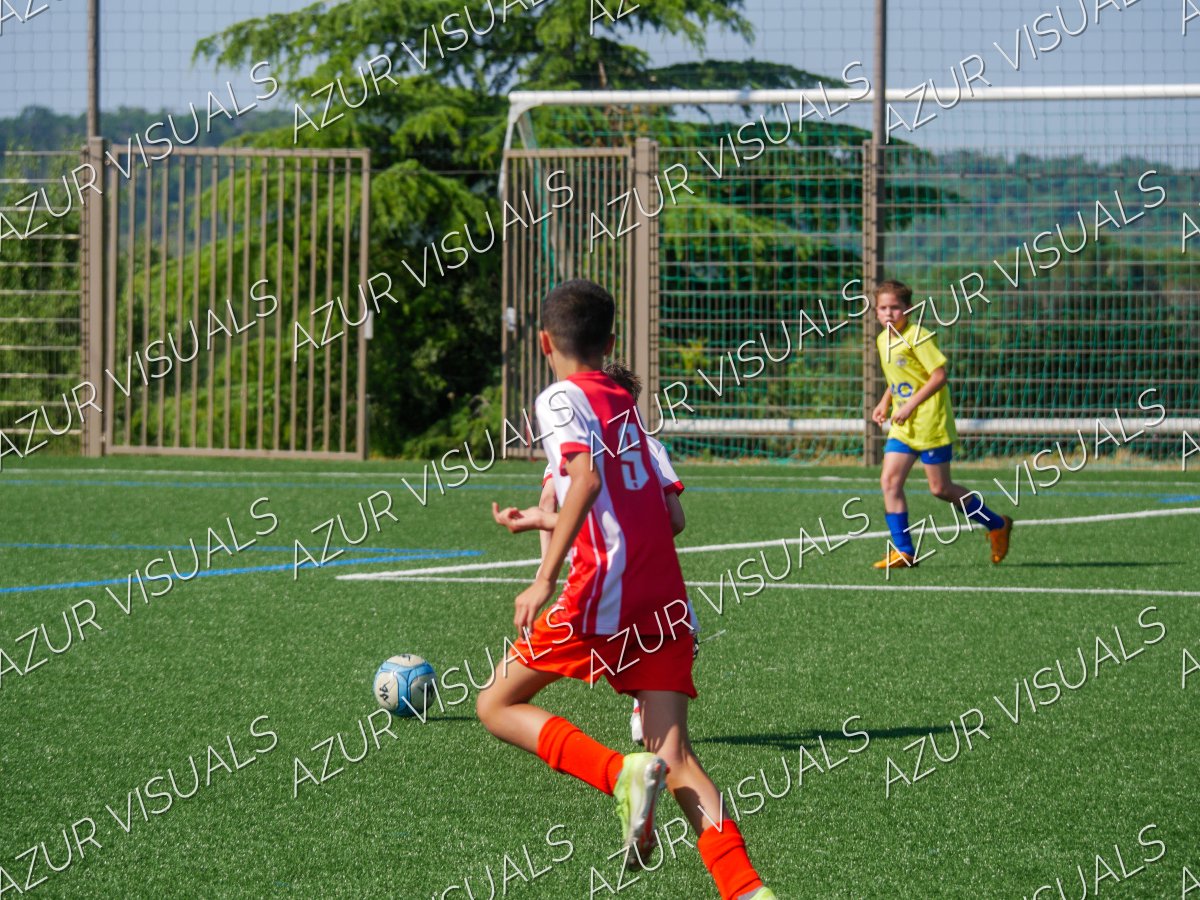 Photo 46