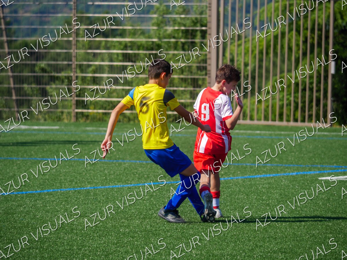 Photo 47