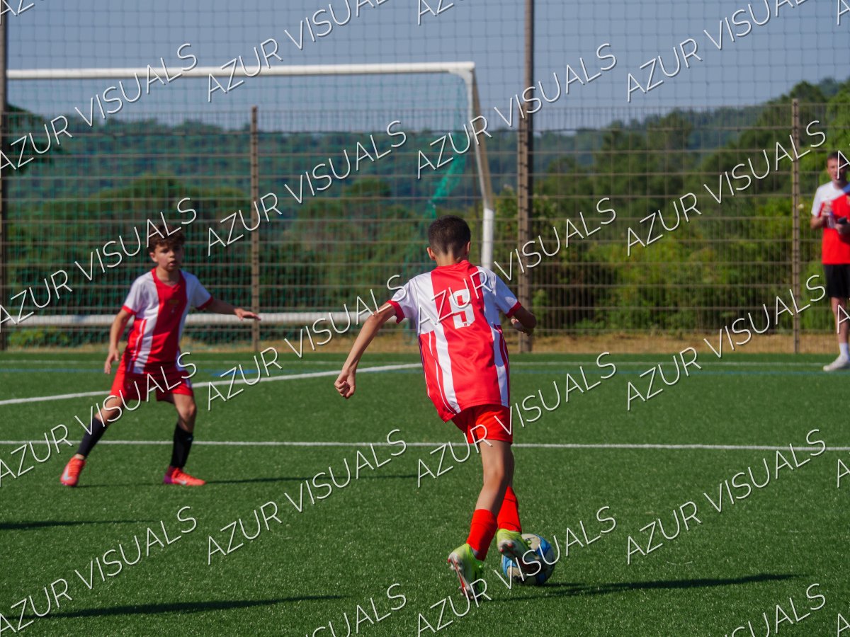 Photo 48
