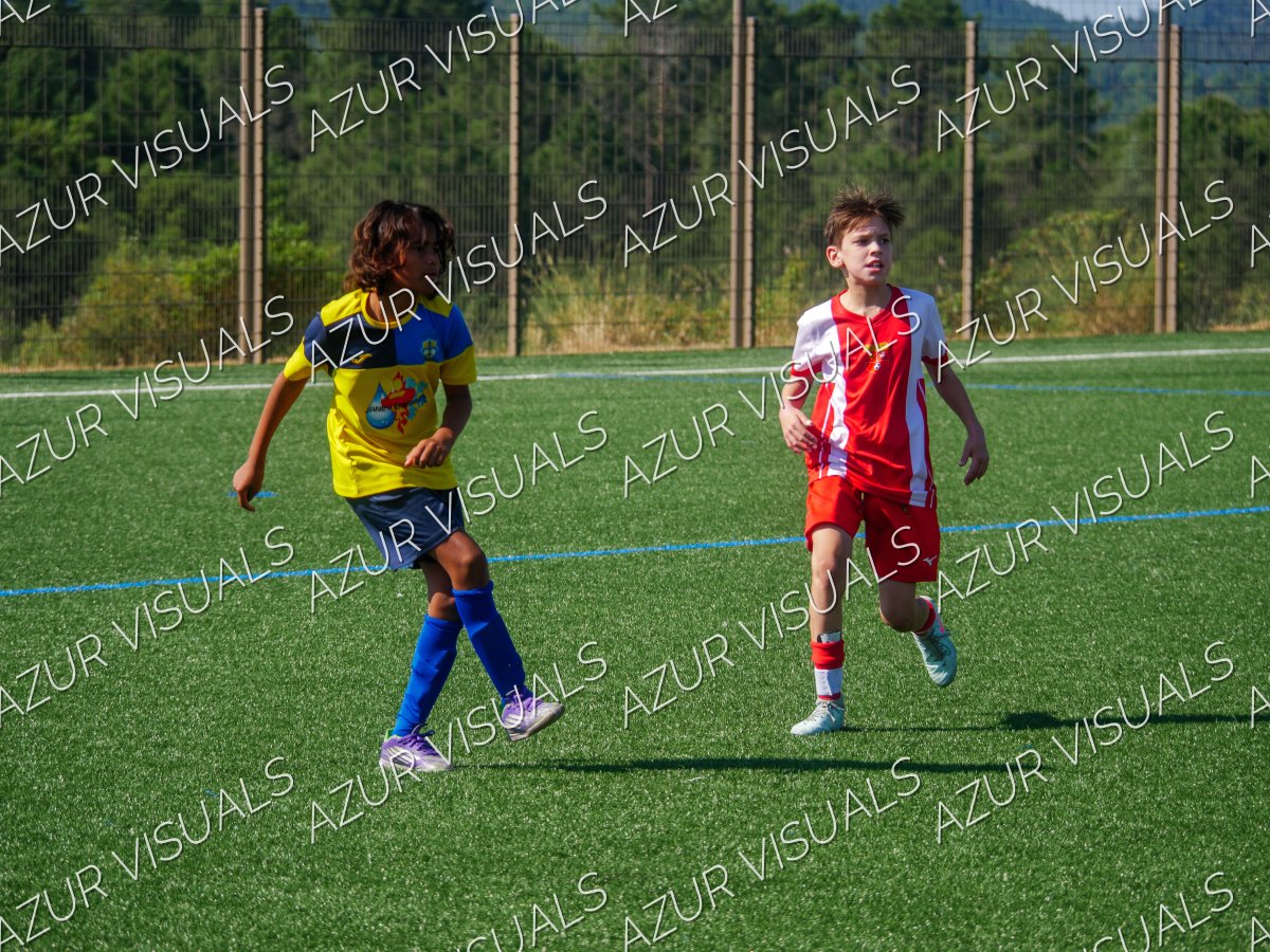 Photo 51