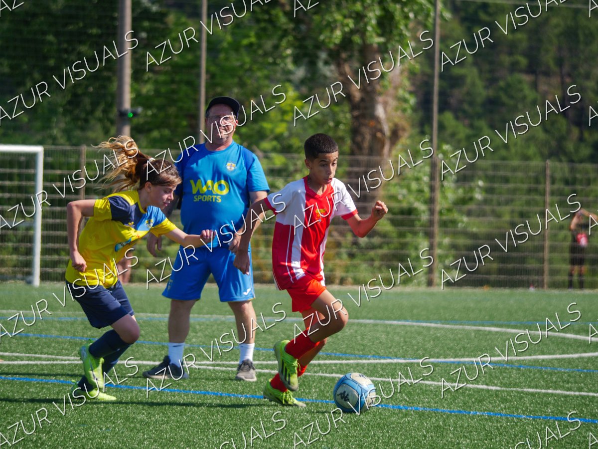 Photo 63