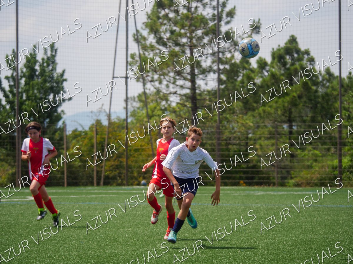Photo 201