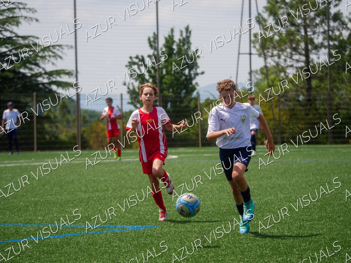 Photo 203