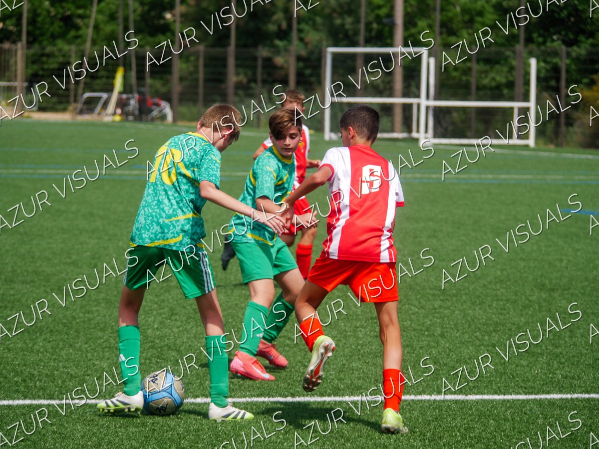Photo 222