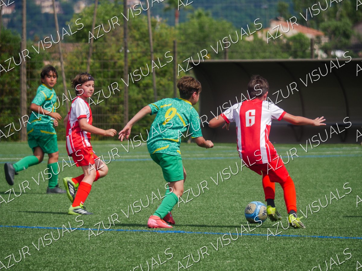 Photo 231