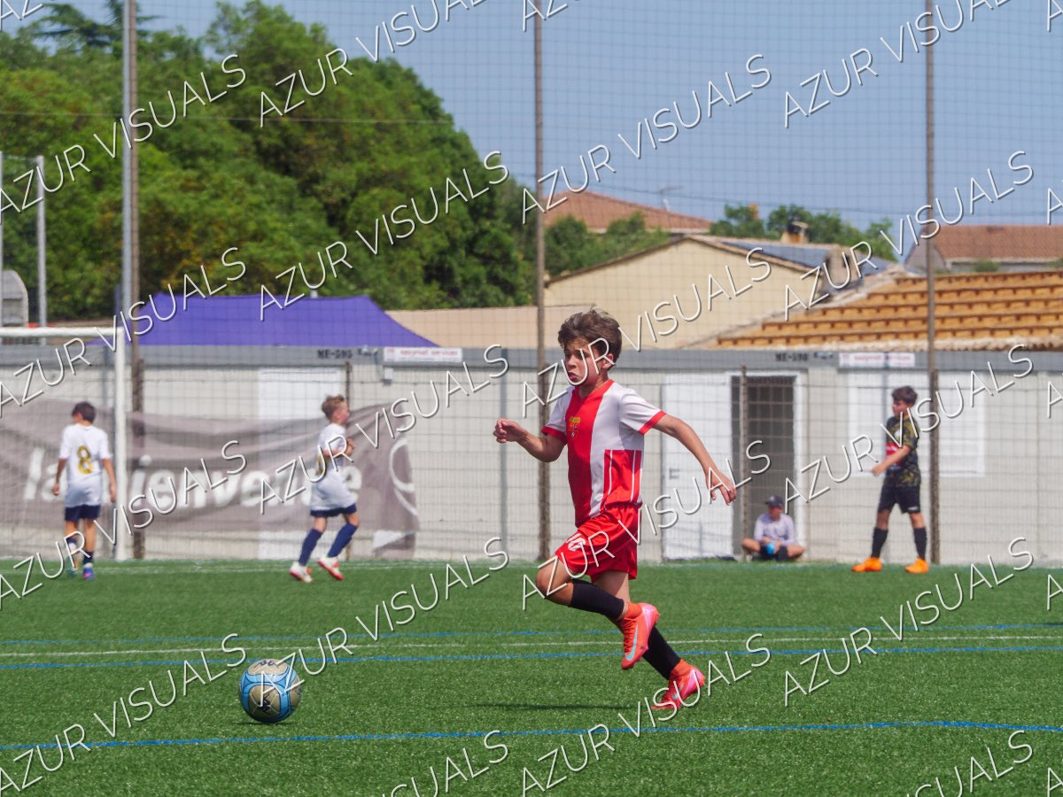 Photo 235