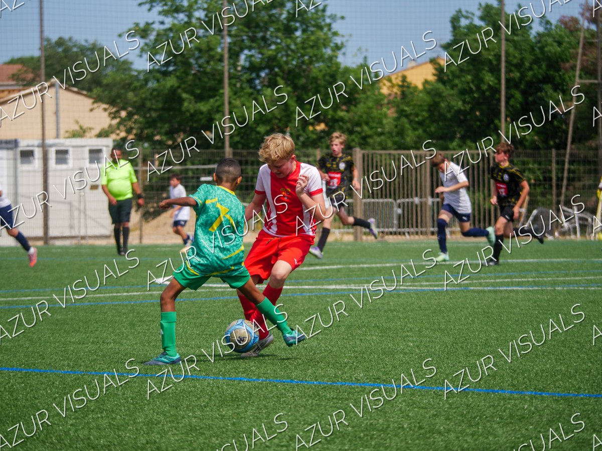 Photo 240