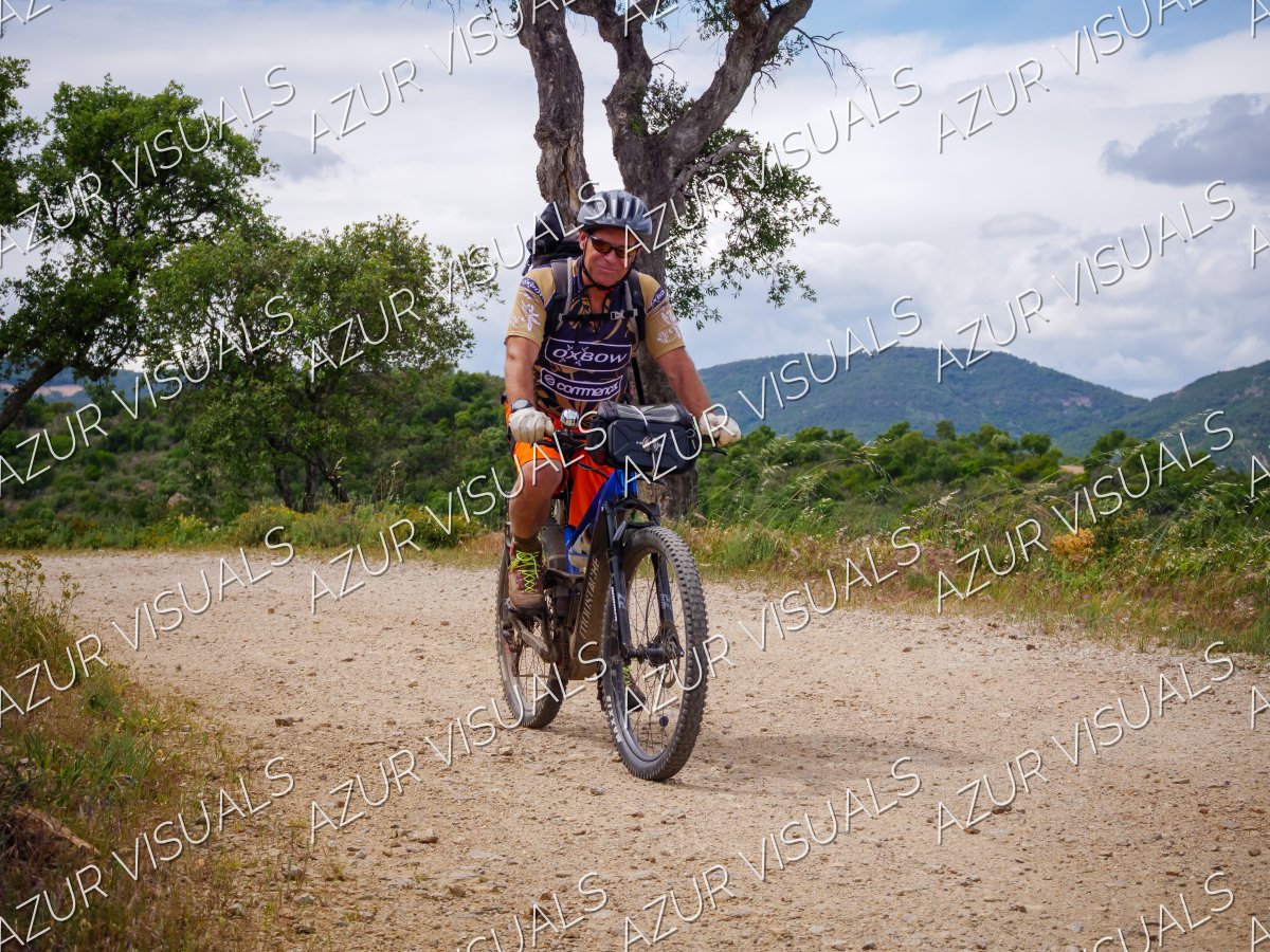 Photo 44