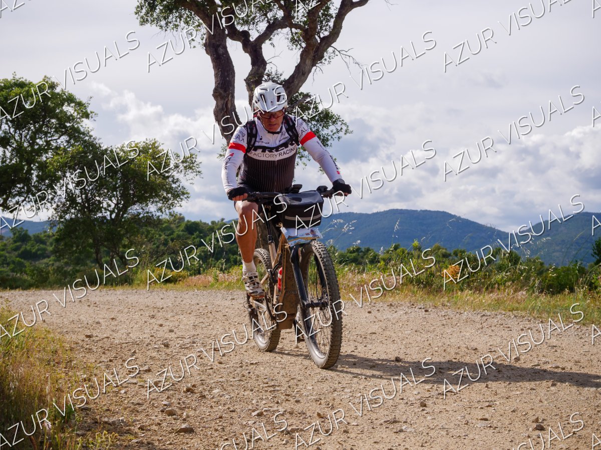 Photo 394