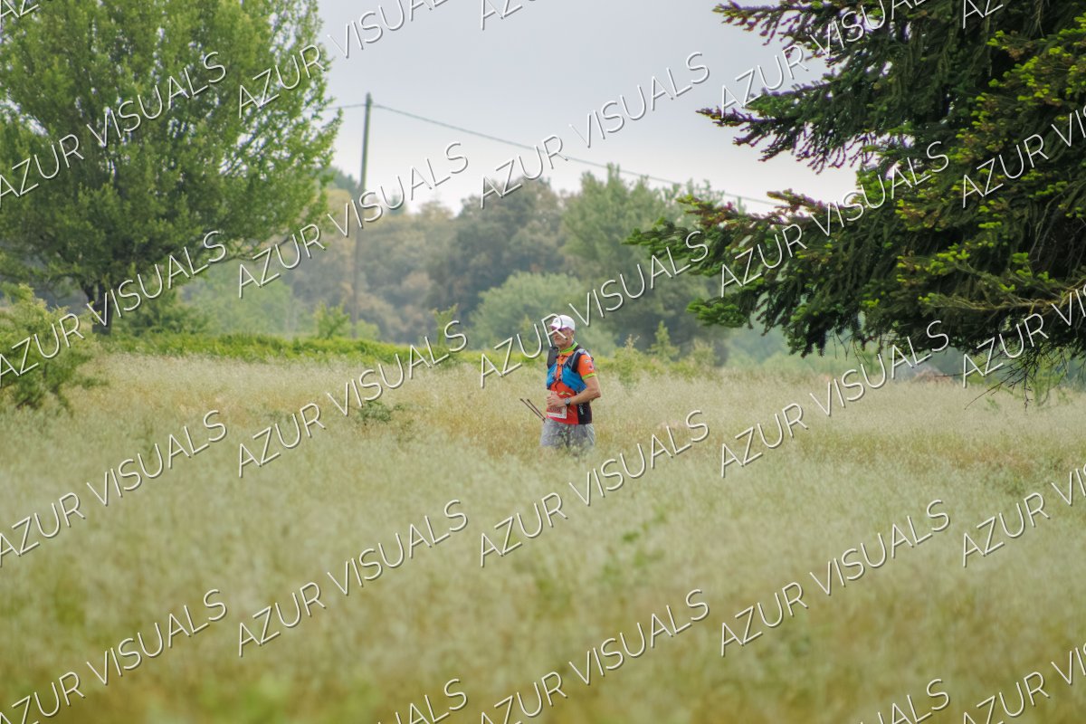 Photo 217