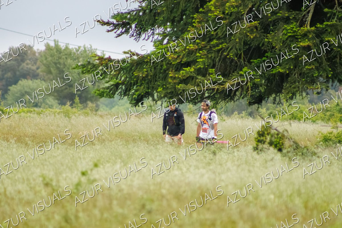 Photo 281