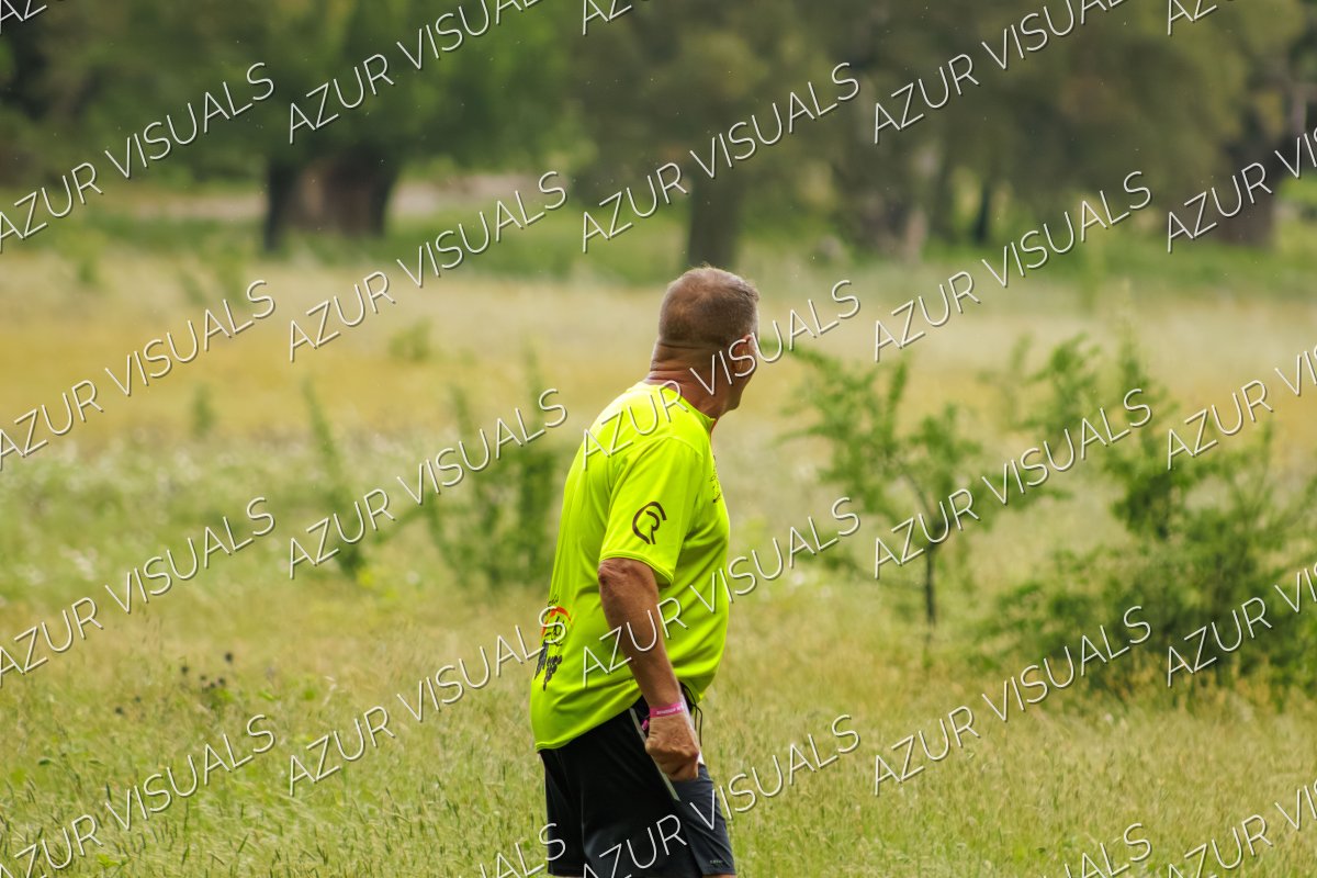 Photo 435