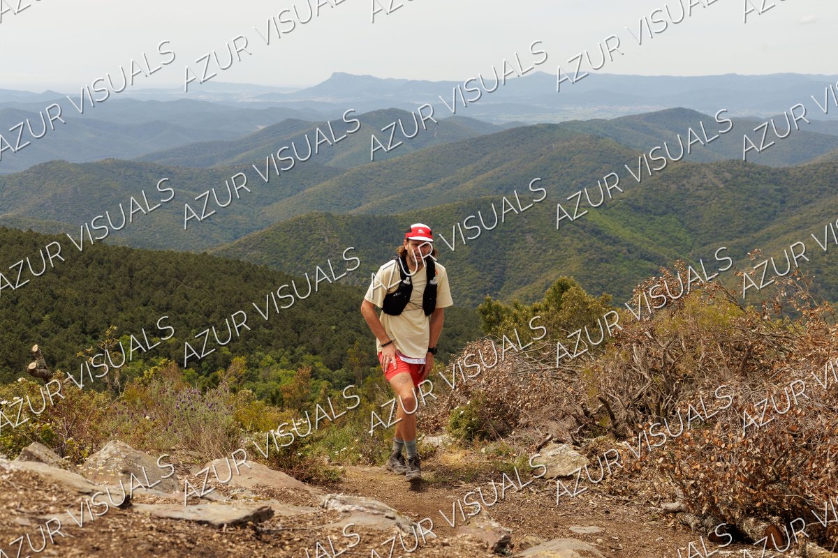 Photo 350