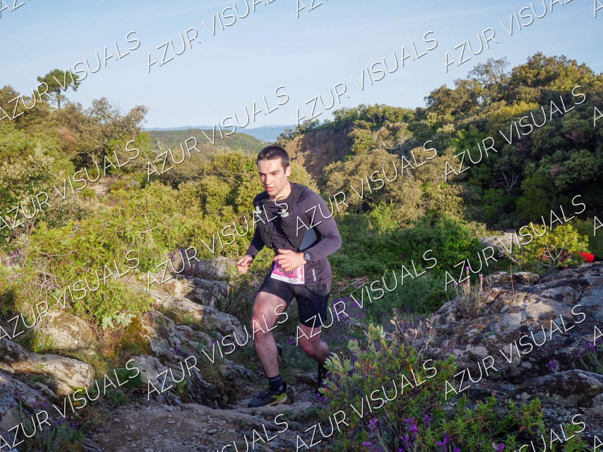Photo 64