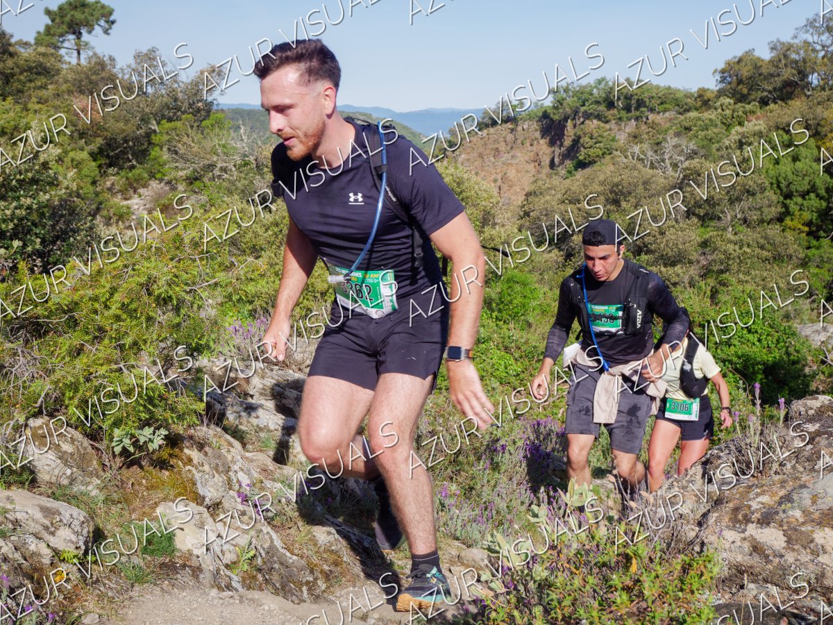 Photo 645