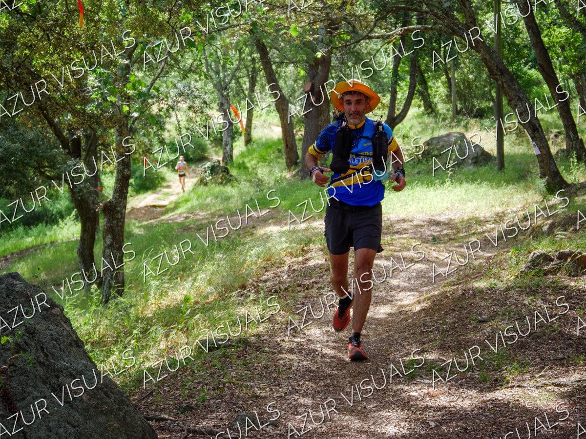 Photo 85