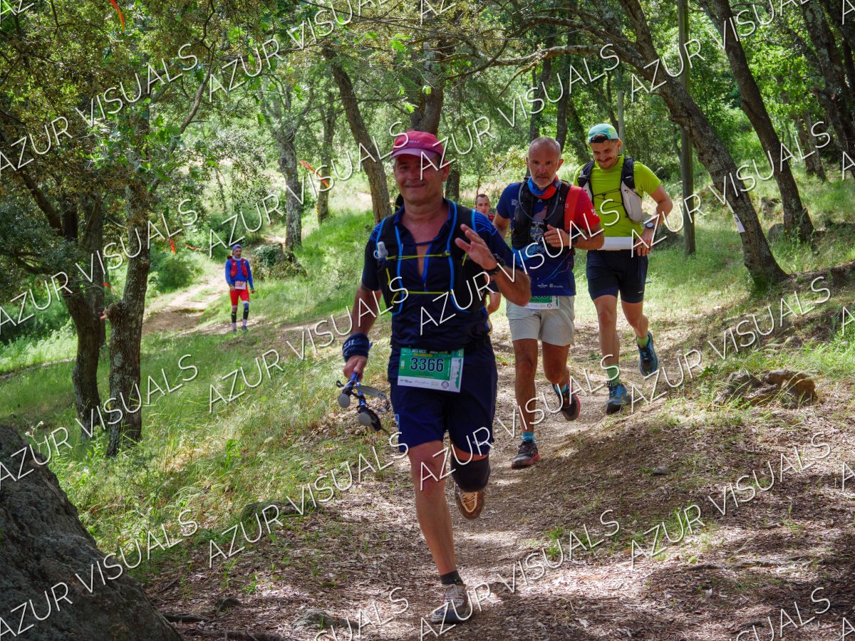 Photo 140