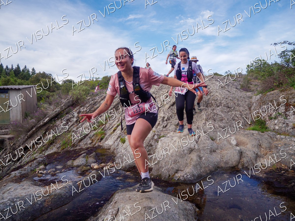 Photo 463
