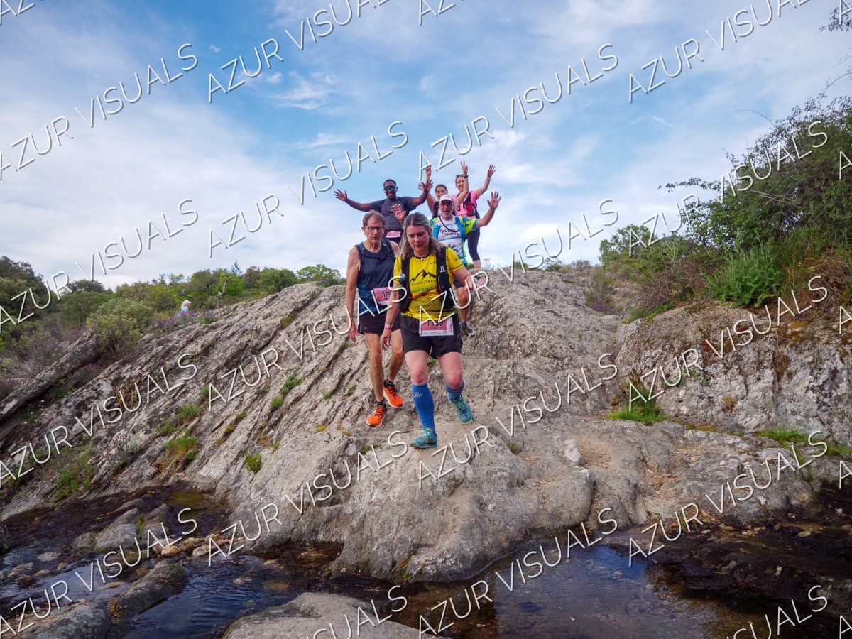 Photo 531