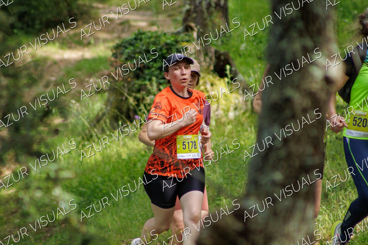 Photo 30
