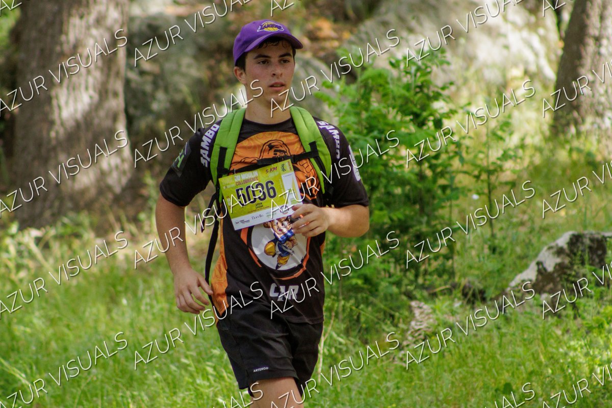 Photo 41