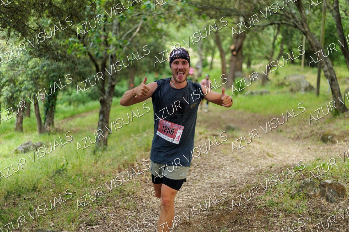 Photo 494