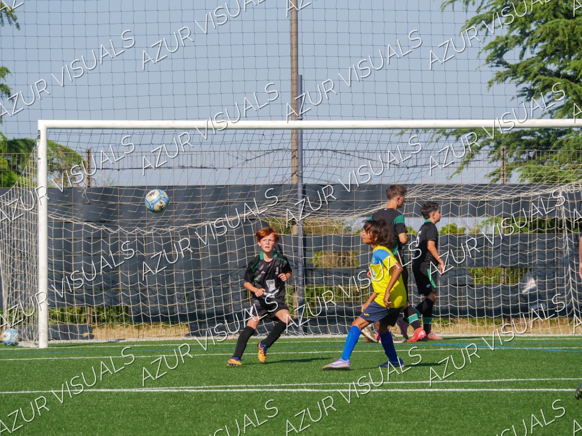 Photo 35