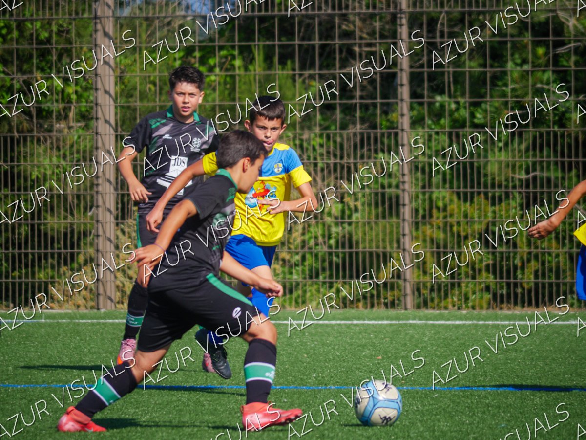 Photo 37