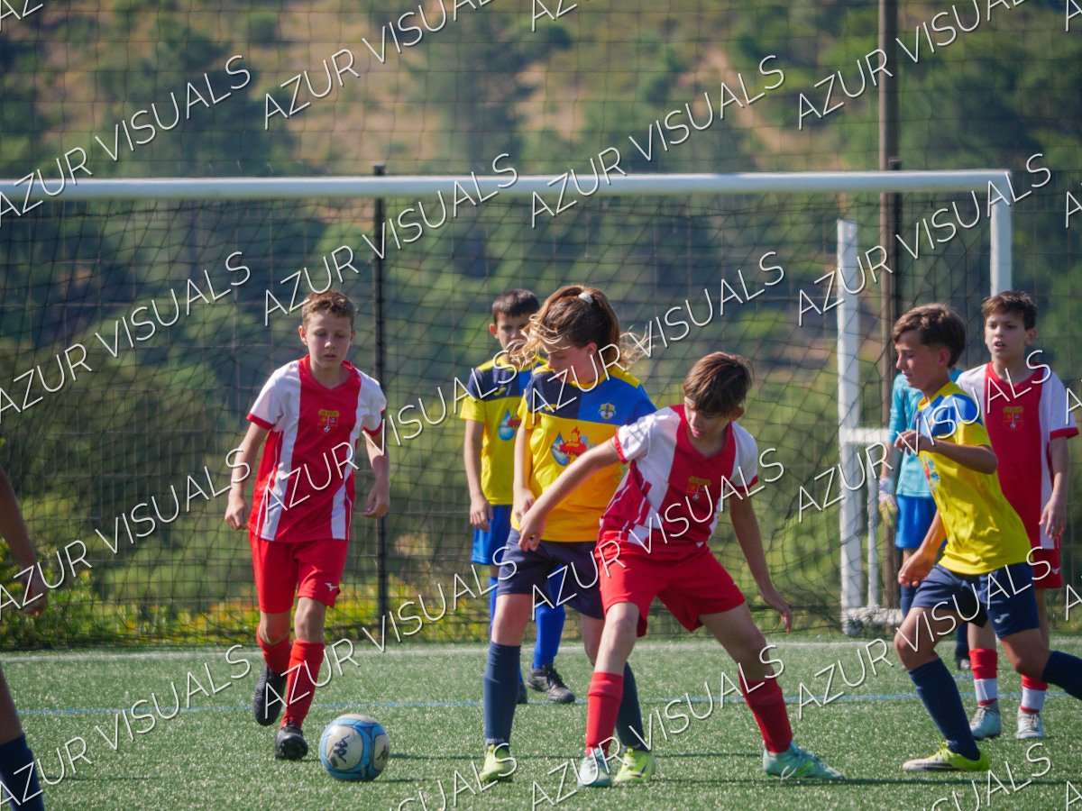 Photo 40