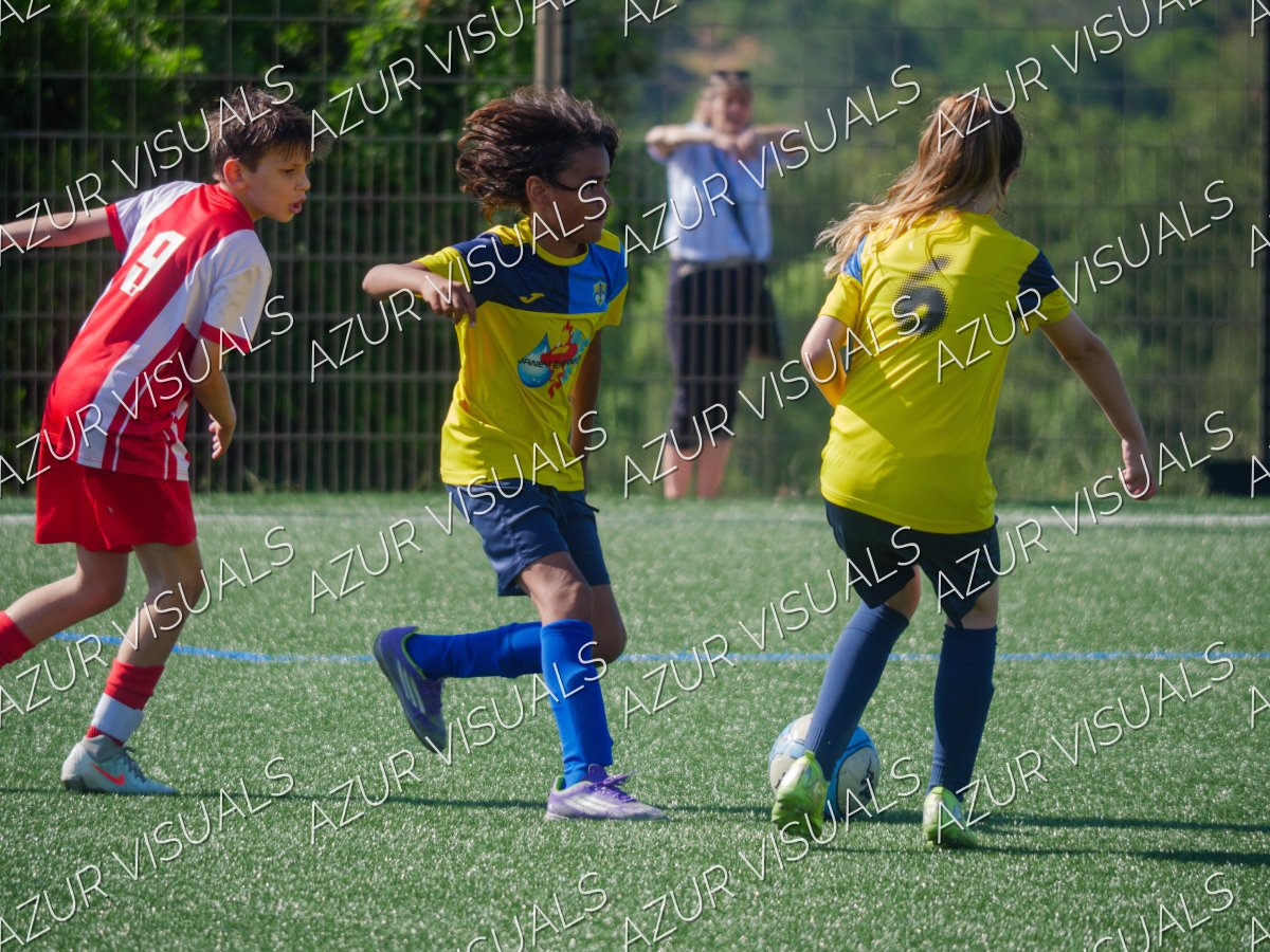Photo 44