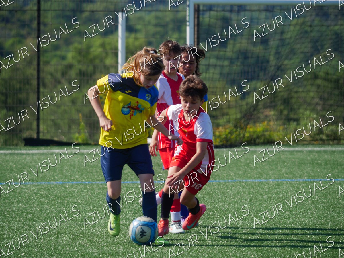 Photo 45