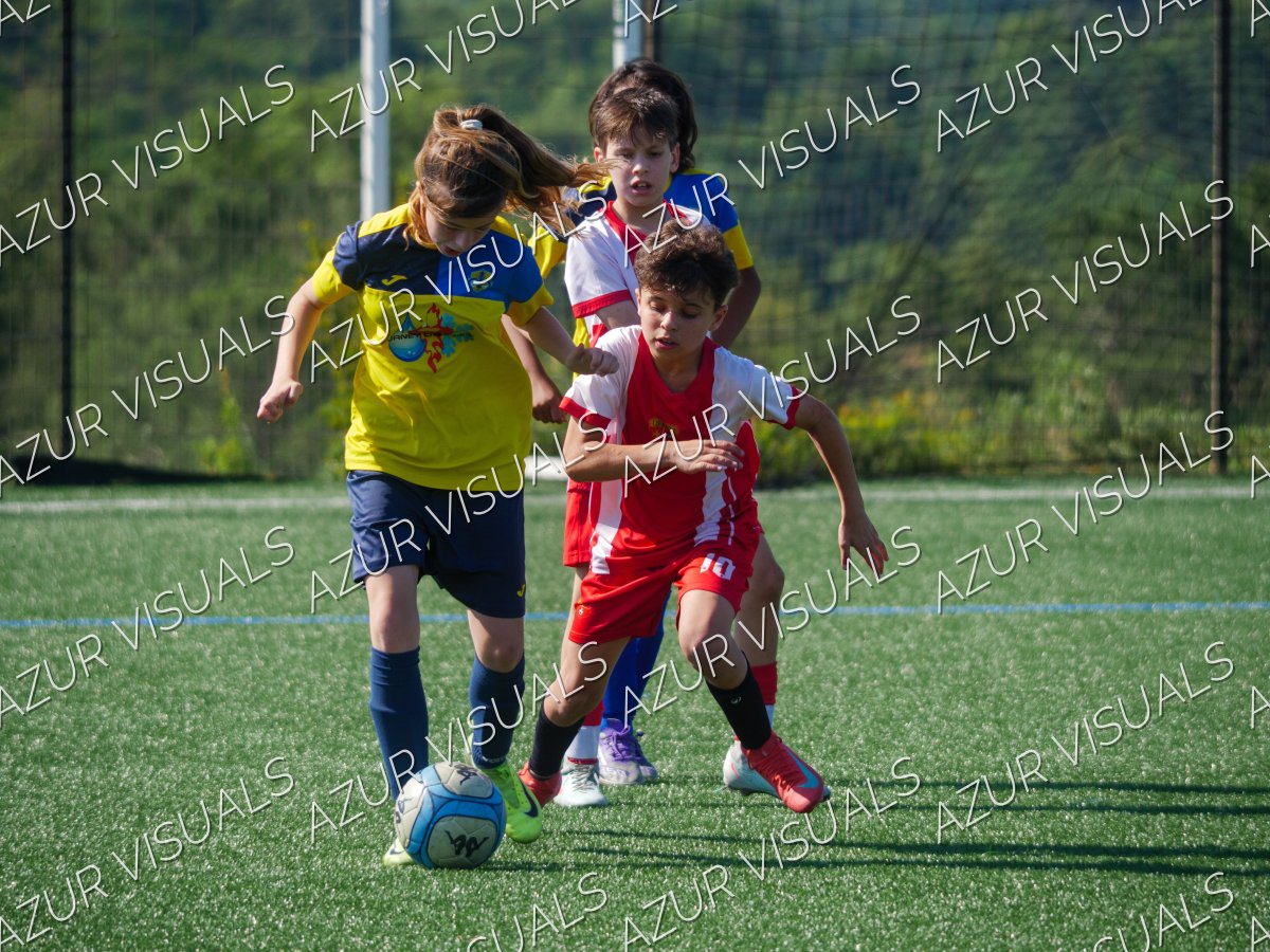 Photo 46