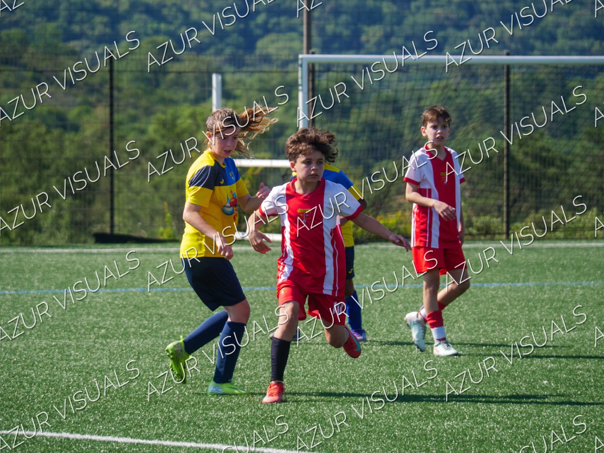 Photo 47