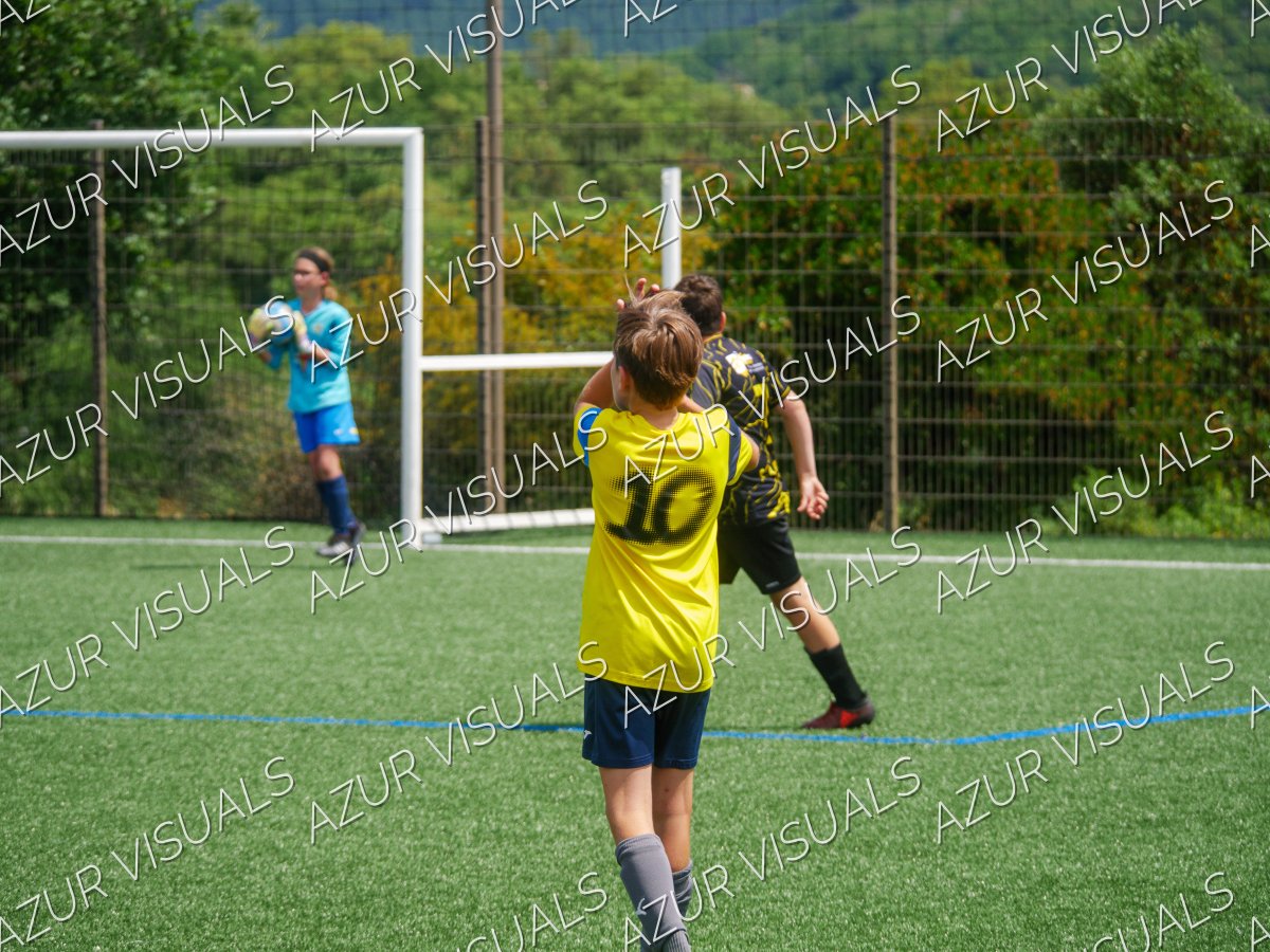 Photo 235