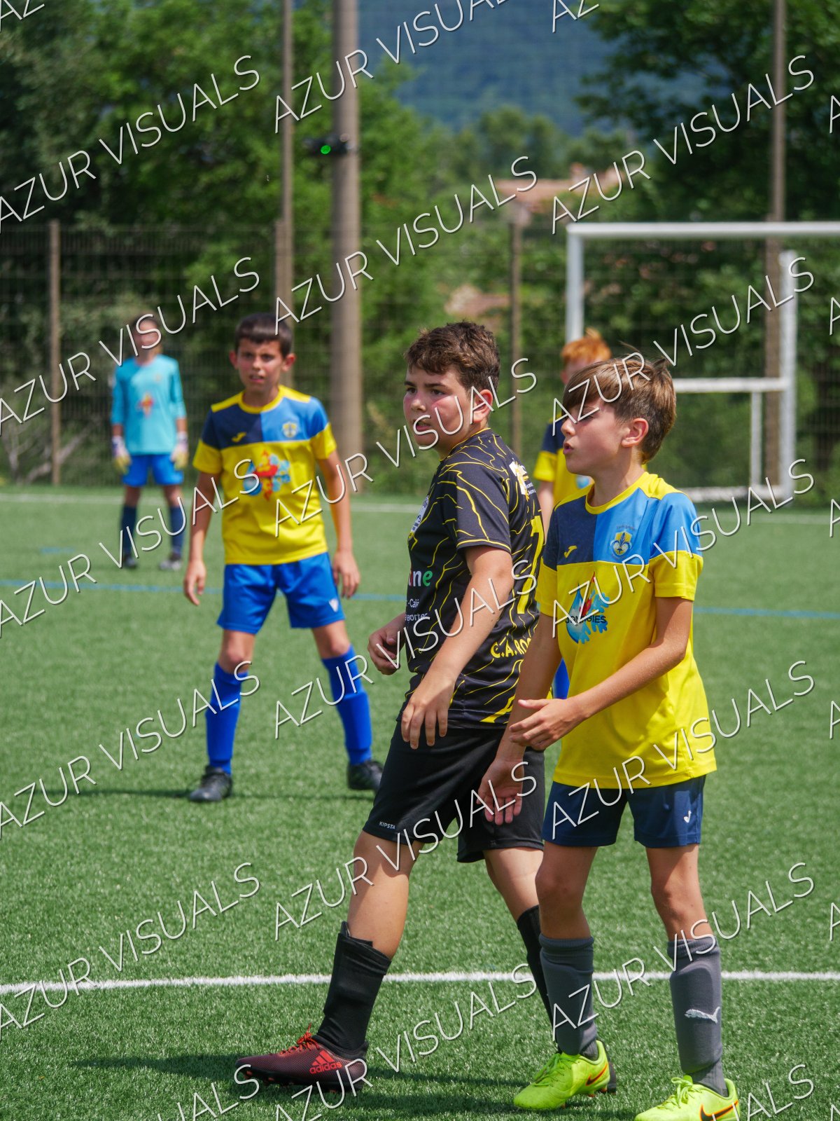 Photo 237