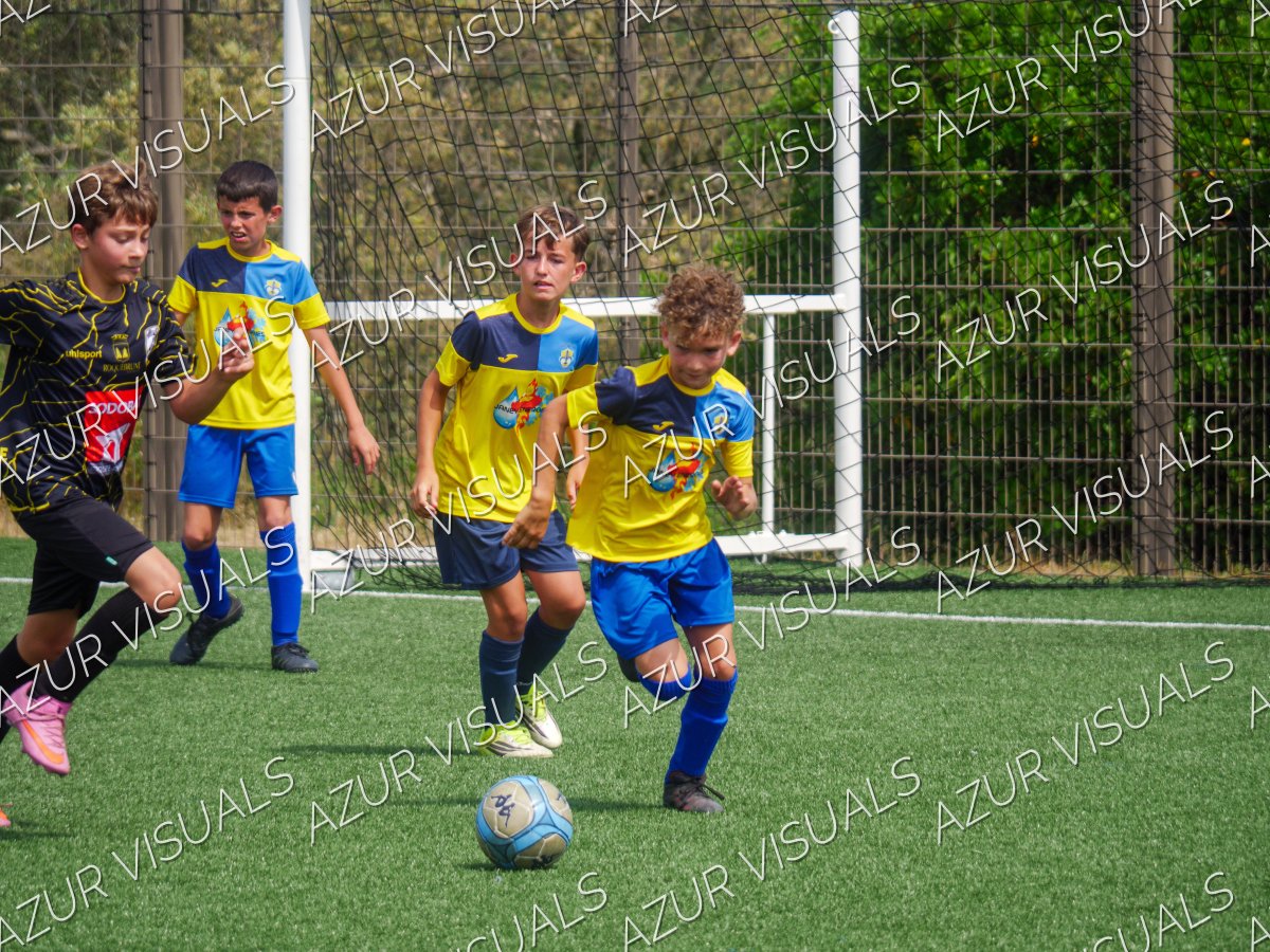 Photo 254