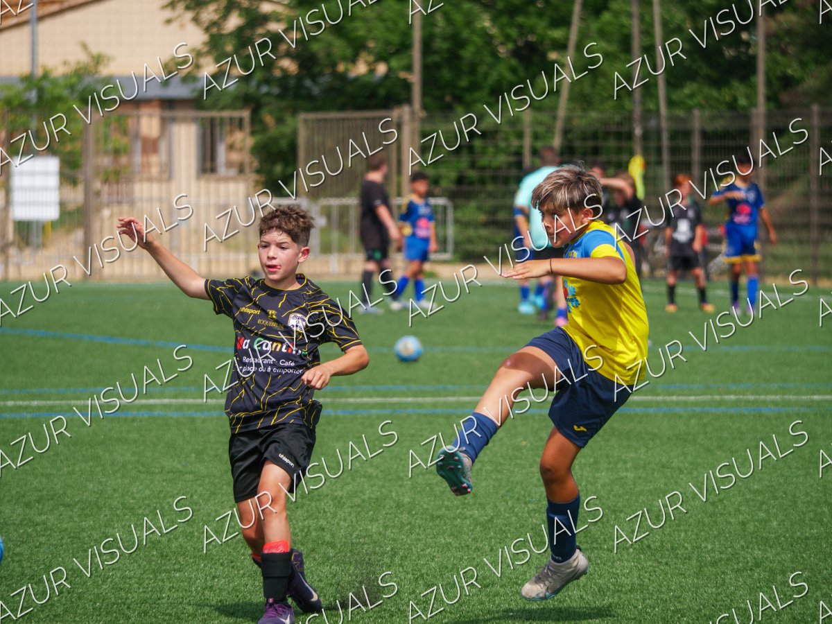 Photo 262