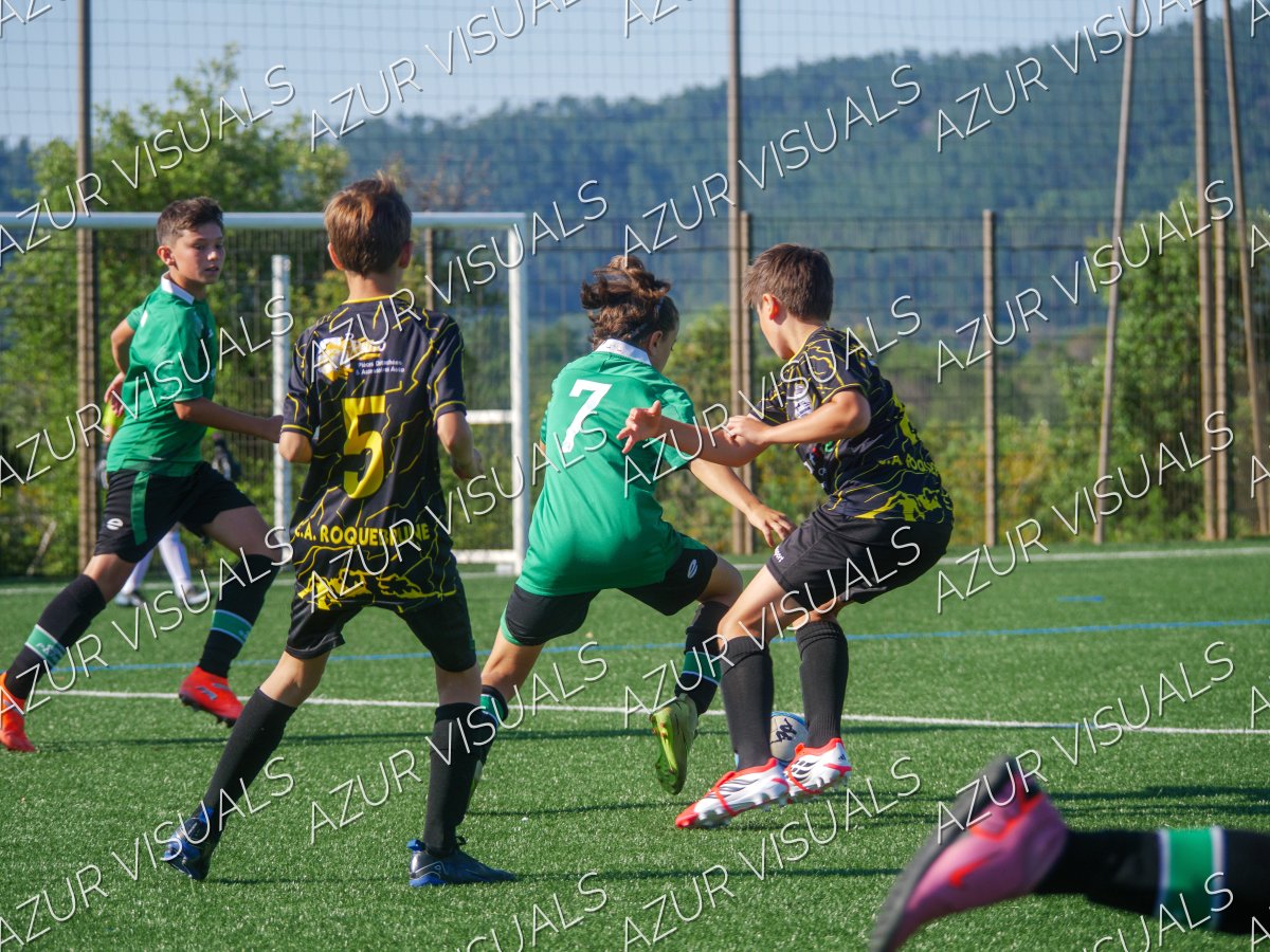 Photo 4