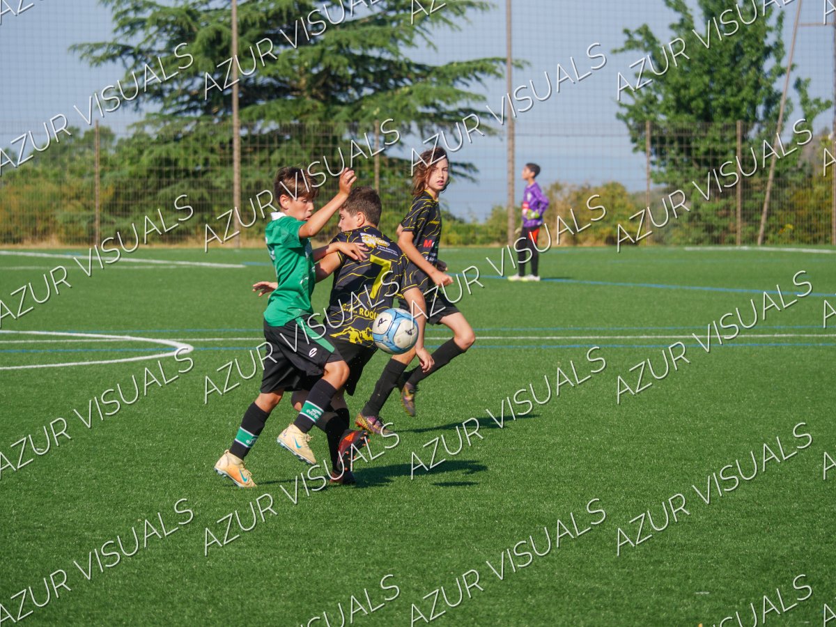 Photo 11