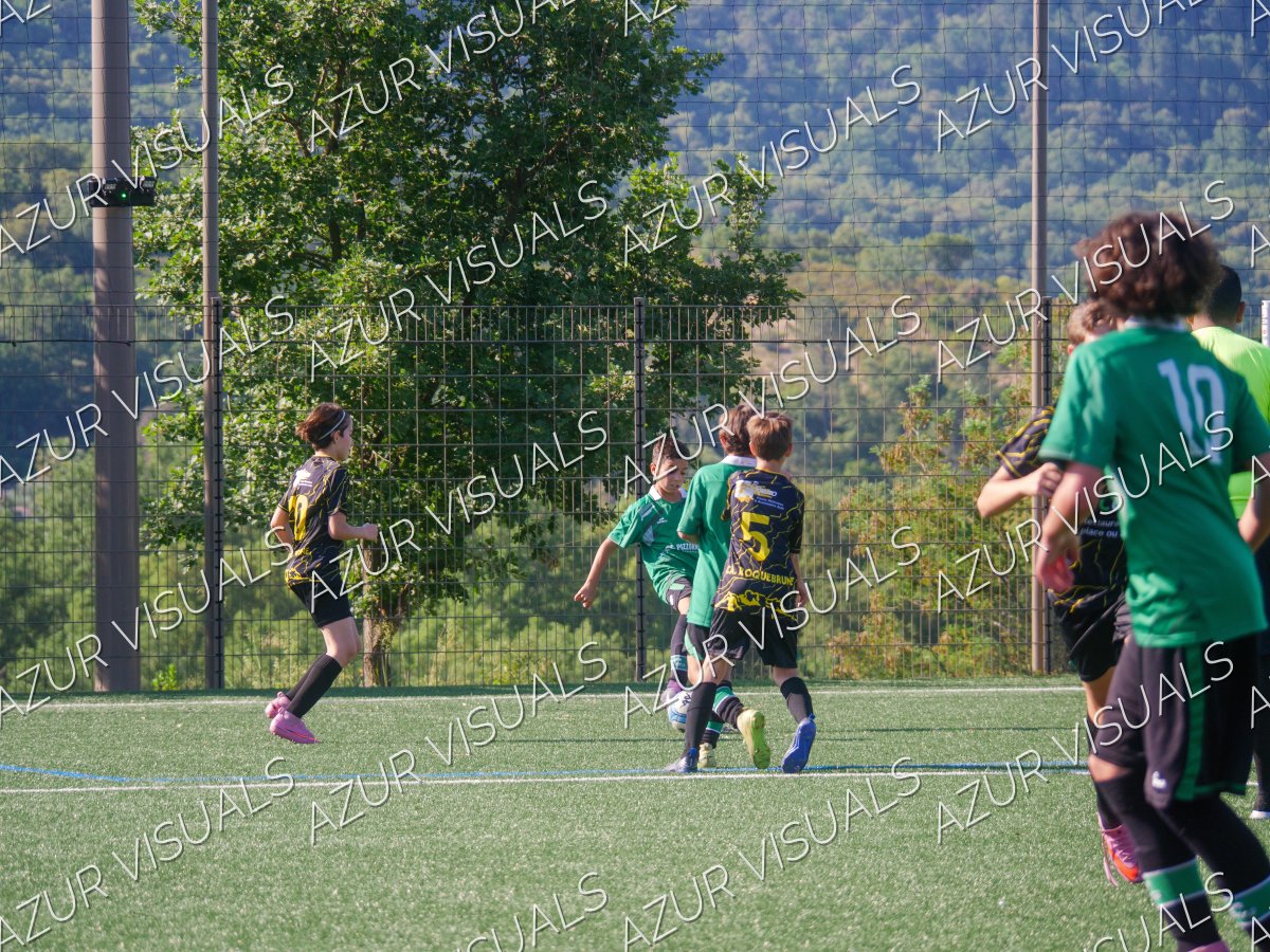 Photo 22