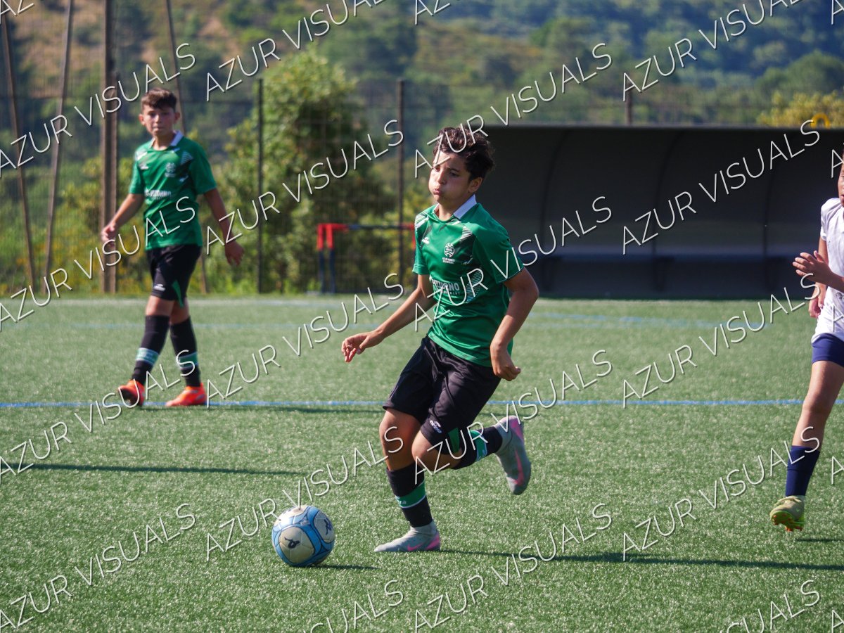 Photo 61