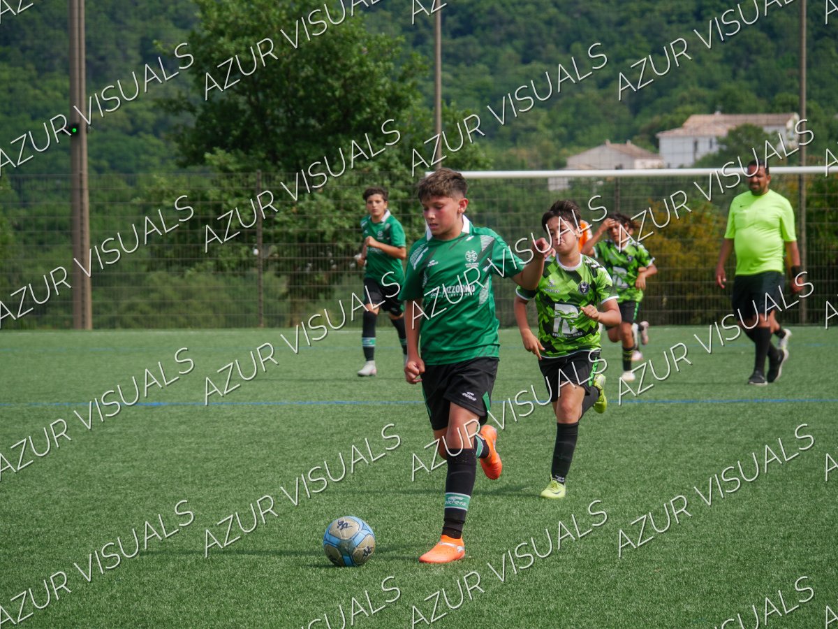 Photo 235