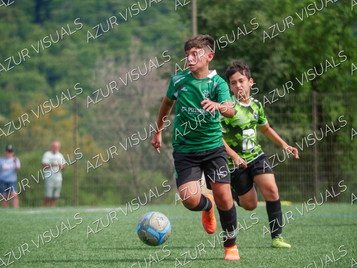 Photo 238