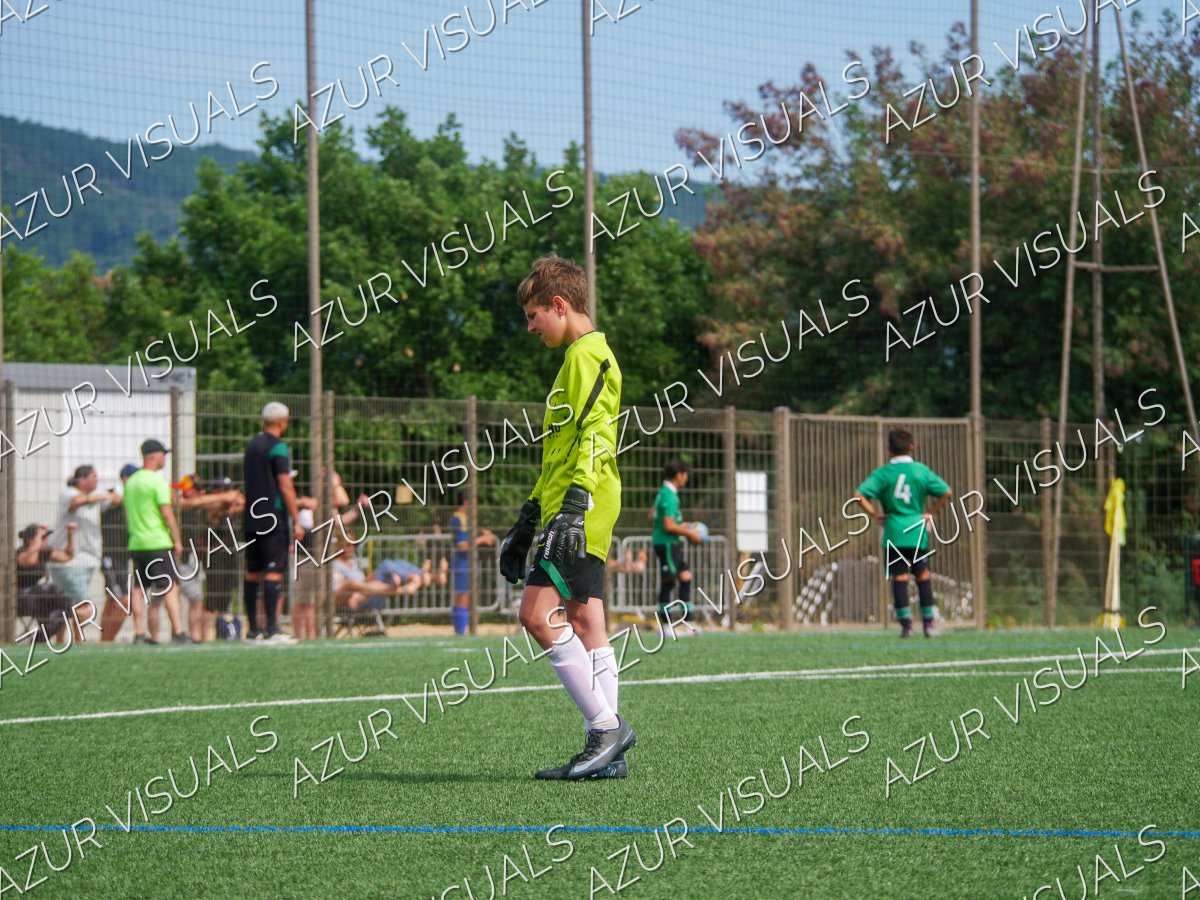 Photo 241