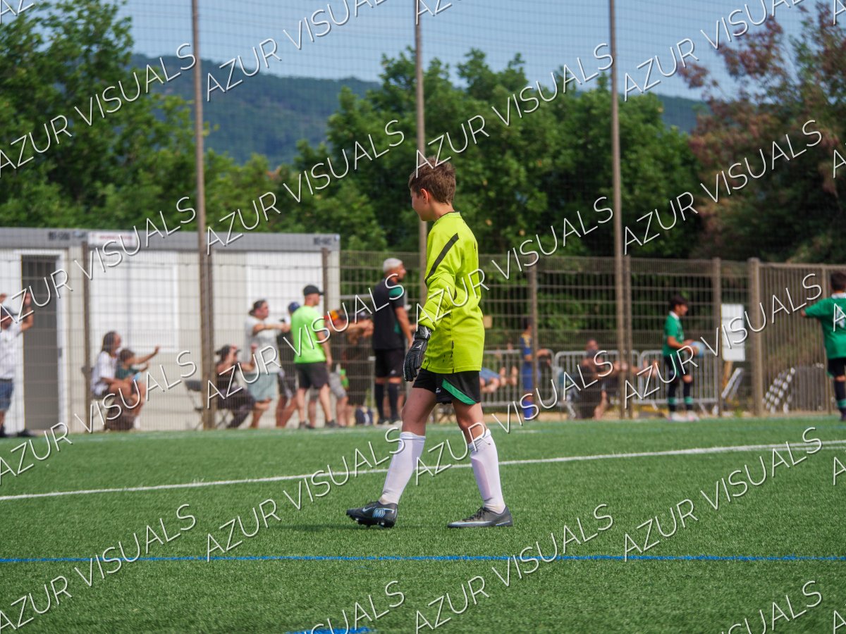 Photo 242