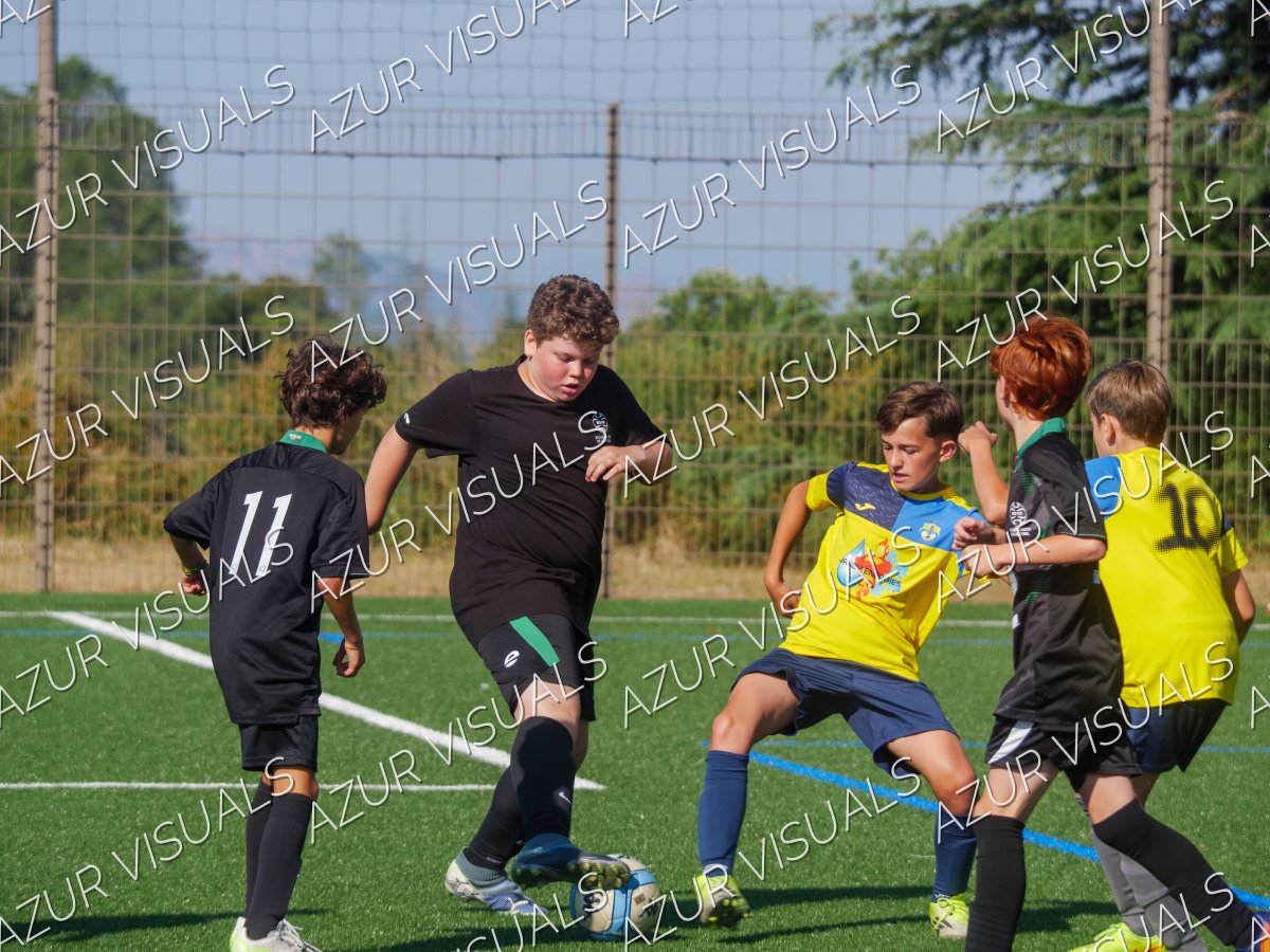 Photo 14