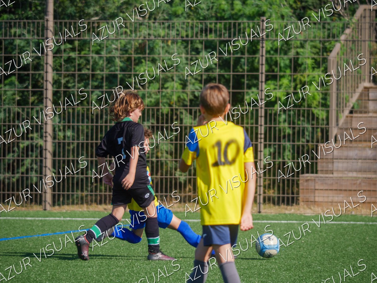 Photo 29