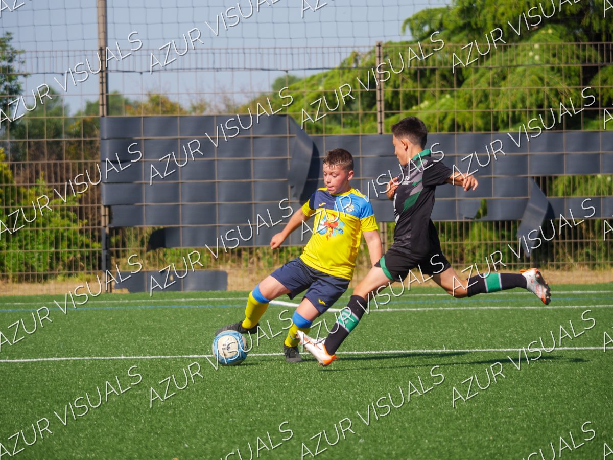 Photo 39